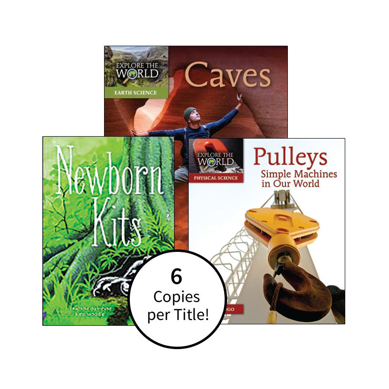 Pioneer Valley Level M: Class Pack – Steps to Literacy