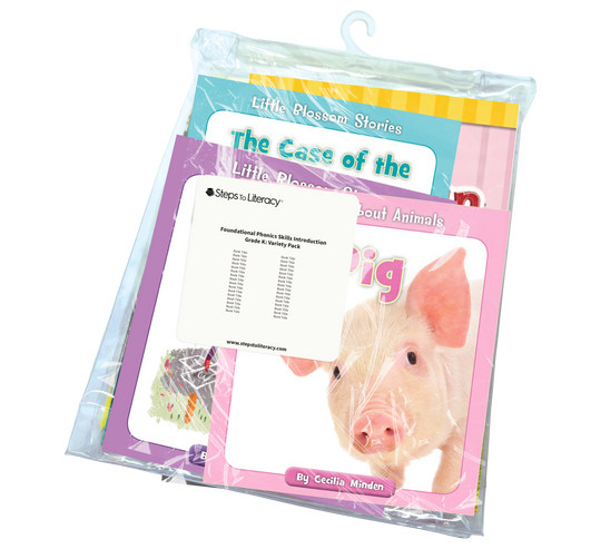 Foundational Phonics Skills Introduction Grade K: Variety Pack
