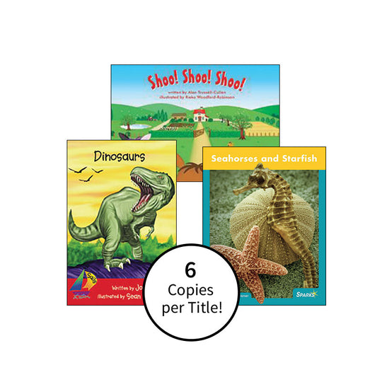 Multipublisher Leveled Reading Level C : Class Pack