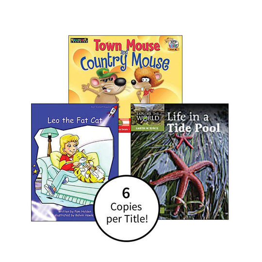 Multipublisher Leveled Reading Level K : Class Pack