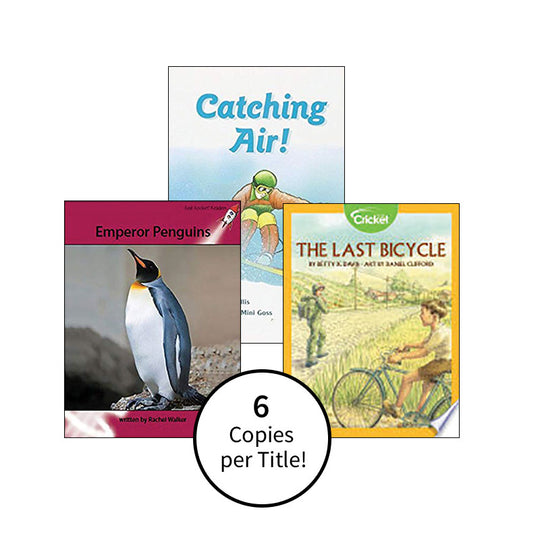 Multipublisher Leveled Reading Level S : Class Pack