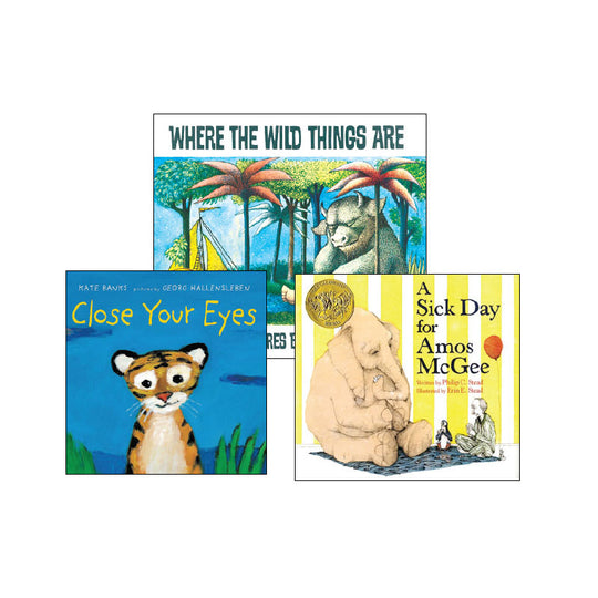 Kindergarten Comprehension Strategies: Classroom Library