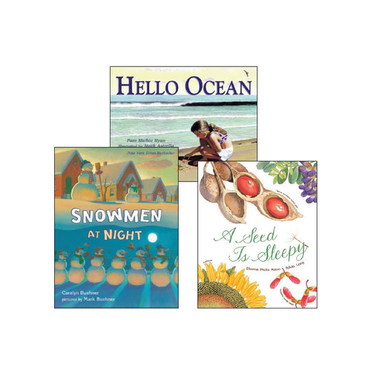 First Grade Comprehension Strategies: Classroom Library