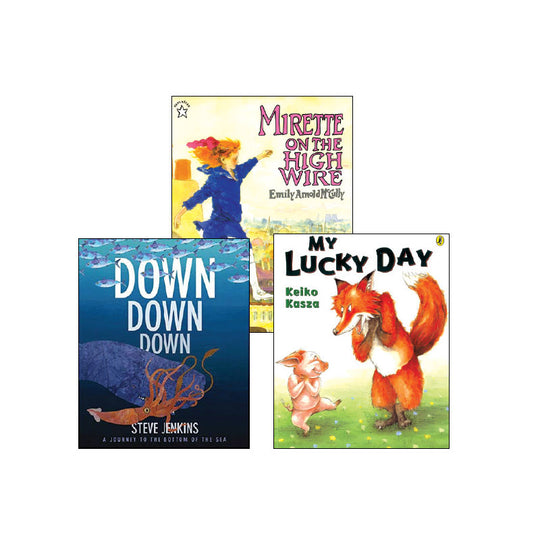 Second Grade Comprehension Strategies: Classroom Library