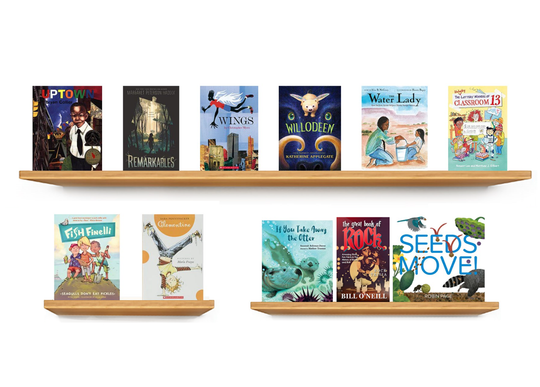 Third Grade Focused Literacy Library